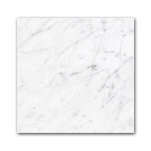 Gioia Venatinio 12" x 12" Polished