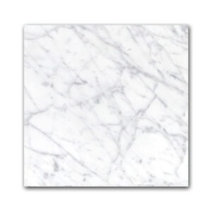 Gioia Venatinio 12" x 12" Honed