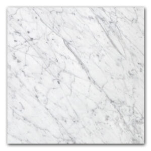 Gioia Venatino 24" x 24" Polished