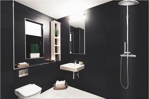 Himalayan Black 12x24 Honed